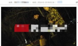 扒爷爆料最新消息,娱乐圈最新动态大揭秘！