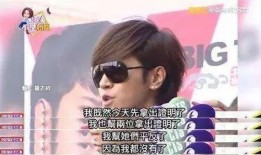 娱乐圈的混乱 爆料,揭秘明星背后的真相