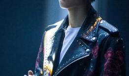 王导爆料王俊凯视频大全,王俊凯视频大全背后的精彩瞬间