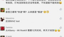 新西兰华人爆料视频最新,揭露当地生活真相与困境