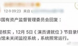 枞阳黑粉爆料视频大全,视频大全背后的真相与争议