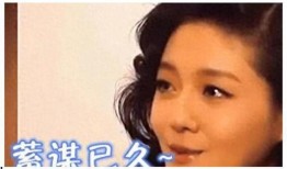 央视爆料娱乐圈事件真相,央视曝光惊天内幕