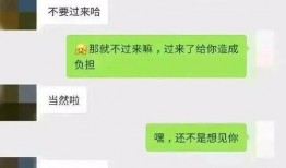 网红吃瓜群众的聊天记录,揭秘聊天记录背后的热点事件