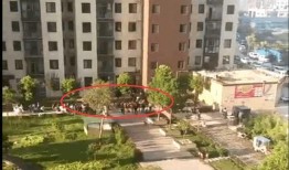 南阳爆料最新,揭秘当地最新热点事件背后的真相