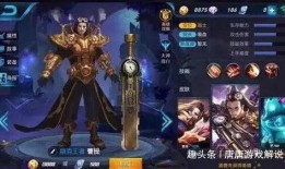 王者阿呆爆料视频,揭秘游戏幕后秘密与精彩瞬间