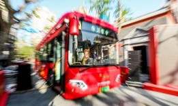 巴士在线观看,穿梭光影，尽享视听盛宴