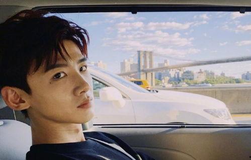 娱乐圈理性吃瓜白敬亭